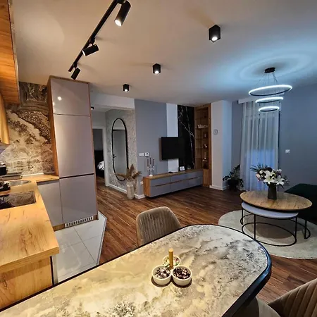 Delux President Centar Apartman *